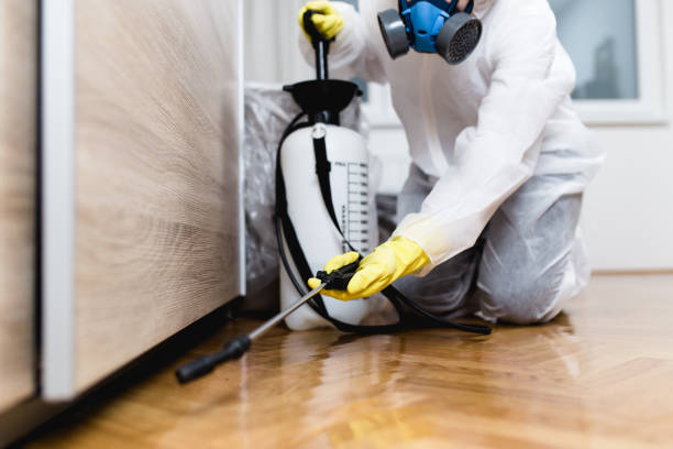 Best Affordable Pest Control Services  in Yoe, PA