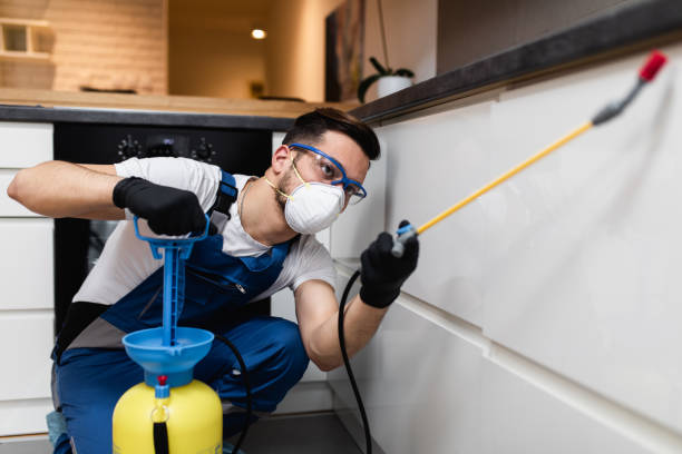 Best Affordable Exterminators  in Yoe, PA