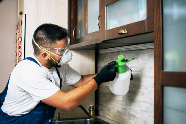 Best Affordable Pest Control Services  in Yoe, PA